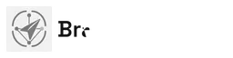 BrandPilot Wordmark Monochrome