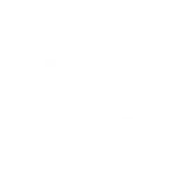Lumio Logo Reversed